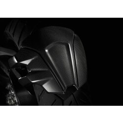 Ducati Kotflügel hinten Carbon 96980721A